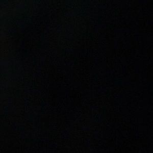 Meet your Posher, Larry